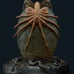 Sideshow Collectibles Alien Egg Statue 200526 Limited Edition NEW IN BOX