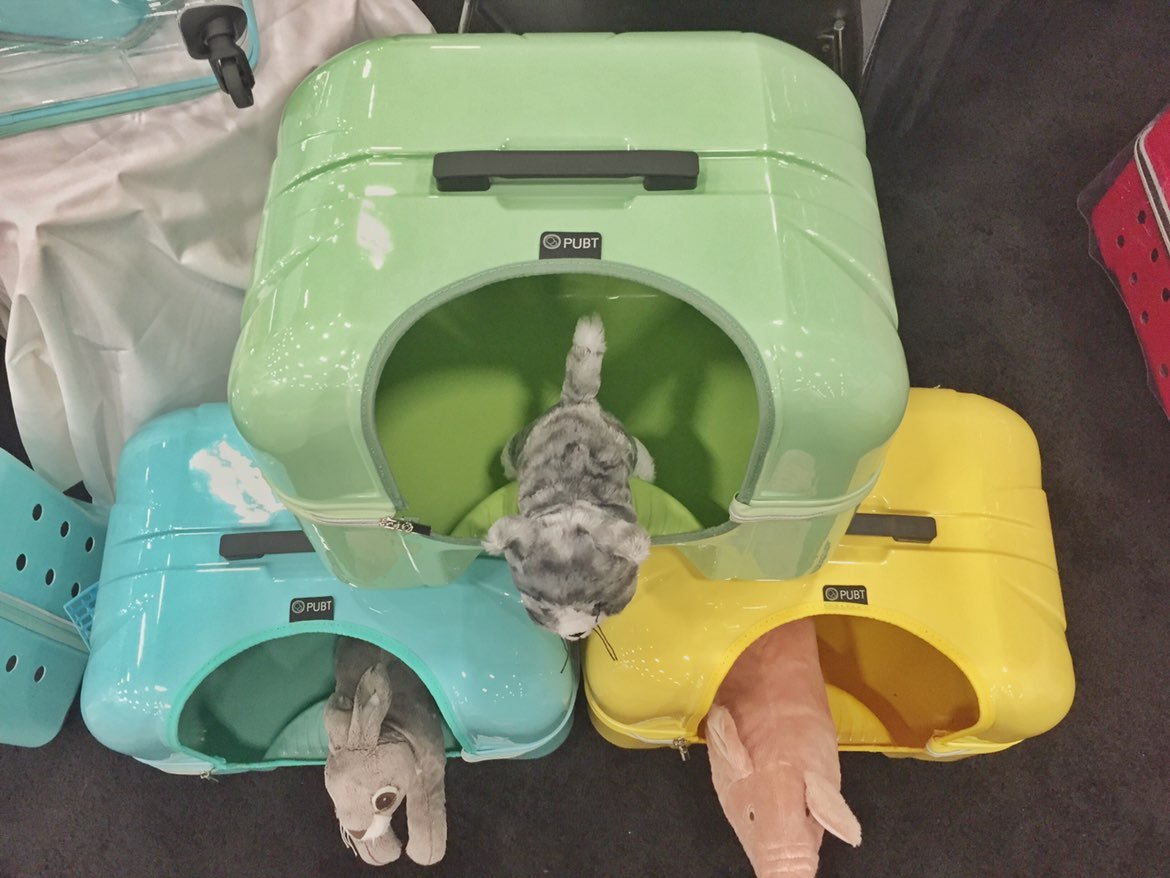 cat litter box