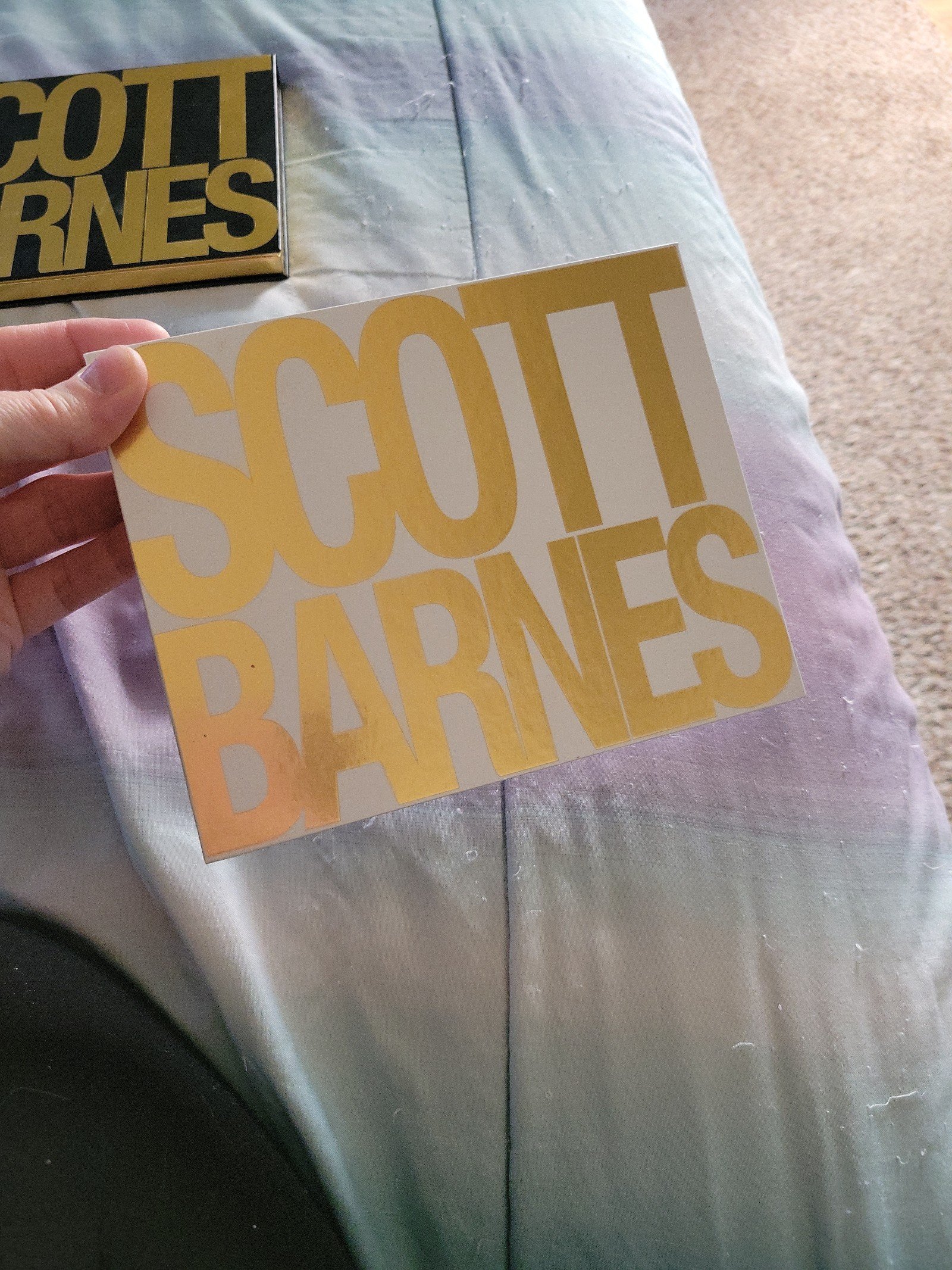 Scott barnes snatural no.1 eyeshadow palette