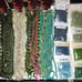 Miyuki TOHO/ Czech 8/0 Glass Seed Beads s1140