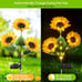 3 Pack Sunflower Solar Lights for Outside with 9 Lifelike Sunflower,36 LED Light