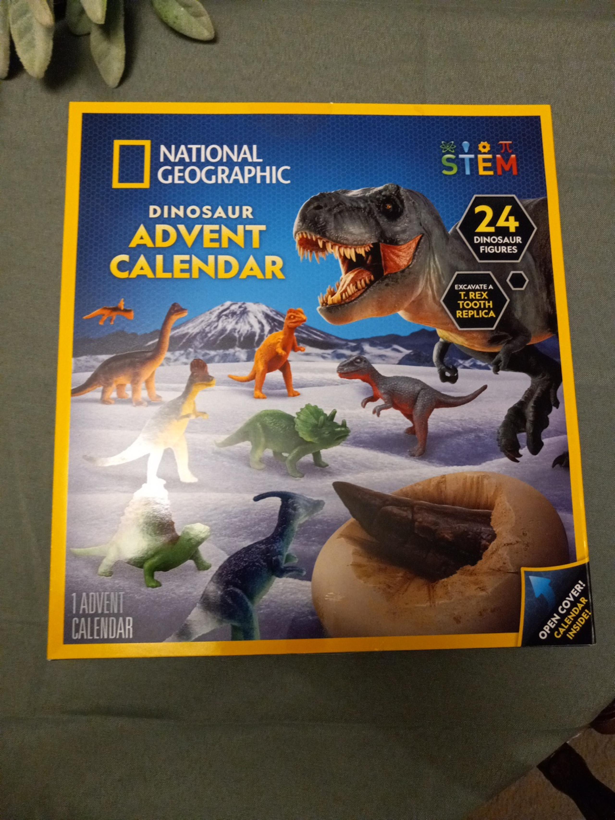 Dinosaur Advent Calendar