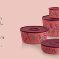 Tupperware harvest autumn set