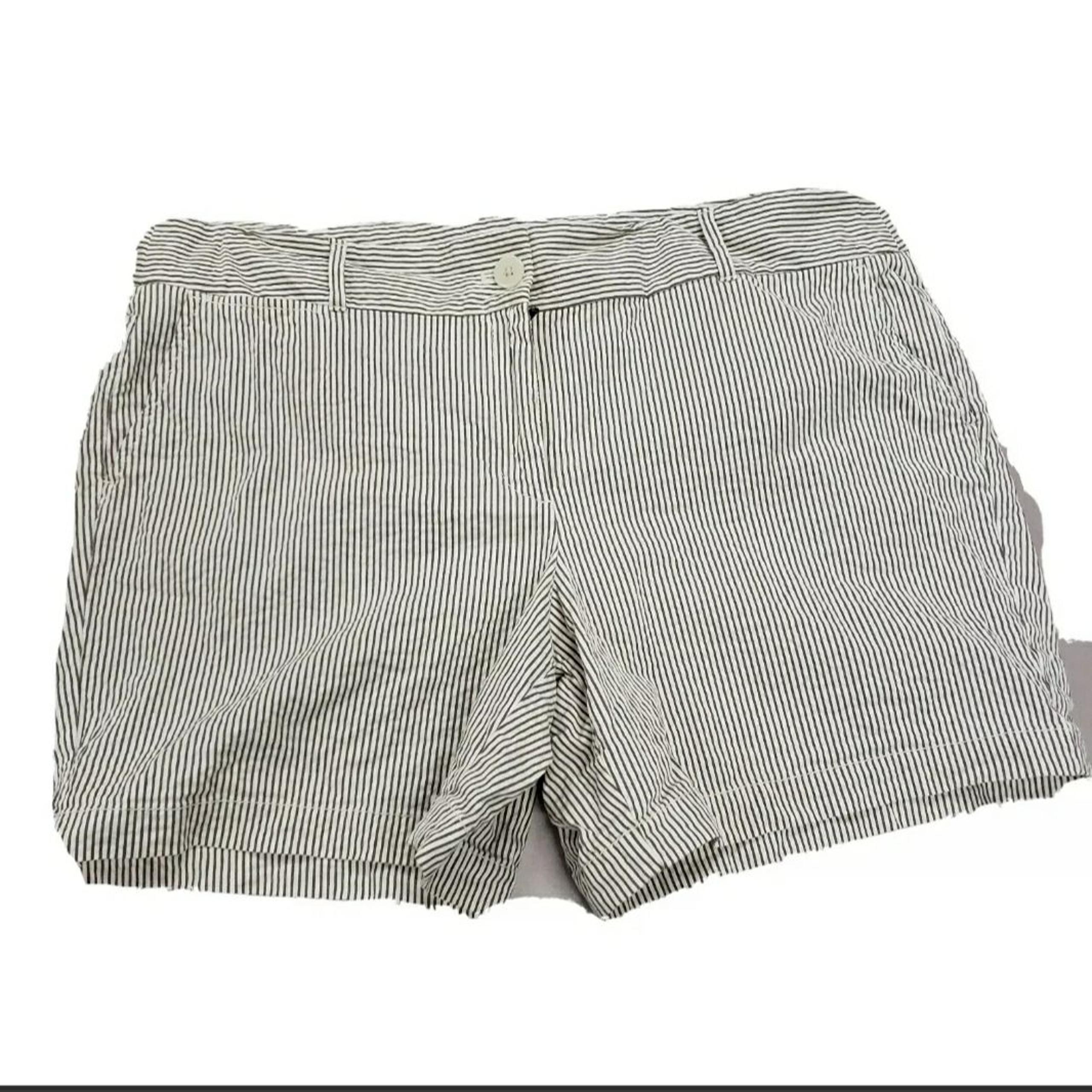 Loft Ann Taylor Shorts Women Size 14