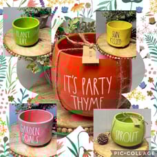 Bundle of 5 Rae Dunn planters