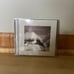 Tortured Poets Department CD + Bonus Track The Manuscript With Hand Signed Photo