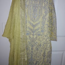 Pakistani branded dress
