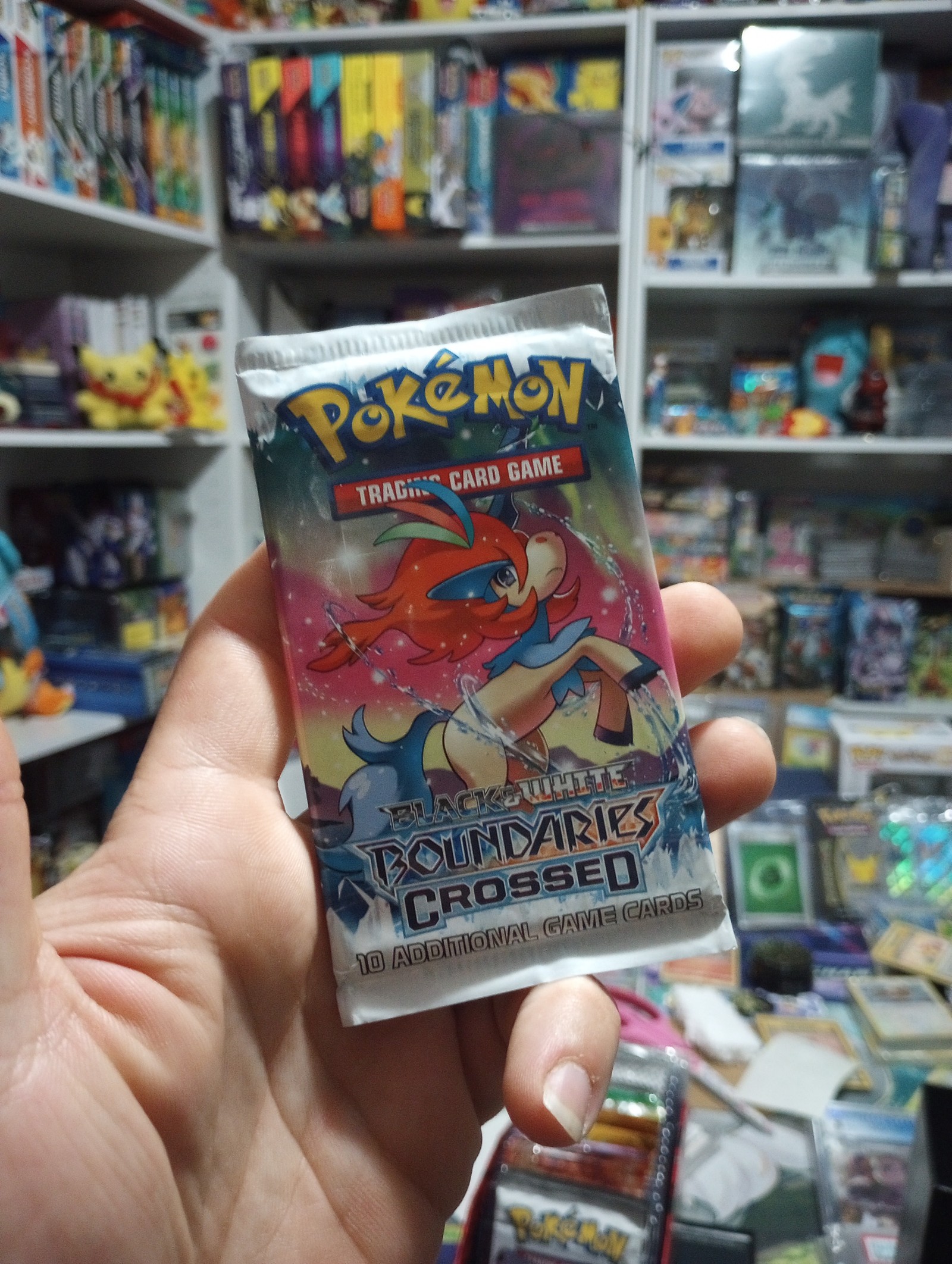 Pokemon Black and White boundaries crossed Booster Pack Keldeo artwork