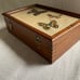 Vintage Mid Century Wood Pressed Butterfly Wing Trinket Box | Red Felt