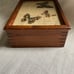 Vintage Mid Century Wood Pressed Butterfly Wing Trinket Box | Red Felt