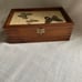 Vintage Mid Century Wood Pressed Butterfly Wing Trinket Box | Red Felt