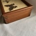 Vintage Mid Century Wood Pressed Butterfly Wing Trinket Box | Red Felt