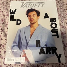 harry styles magazine