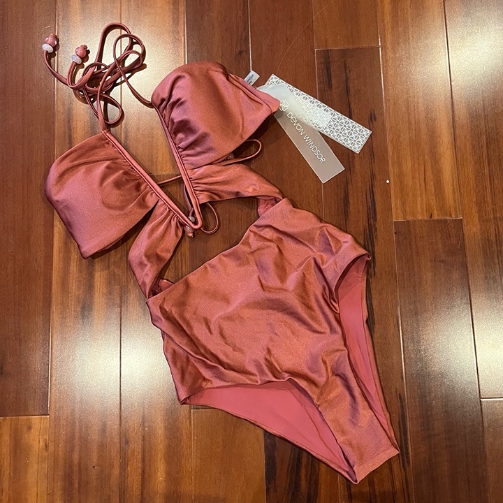 New NWT Devon Windsor Cassidy Swimsuit Rust Deep V-Neck Cutout One-Piece Size XS