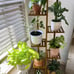 Bamboo Plant Stand Rack 6 Tier 7 Potted Indoor&Outdoor Multiple Stand