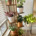 Bamboo Plant Stand Rack 6 Tier 7 Potted Indoor&Outdoor Multiple Stand
