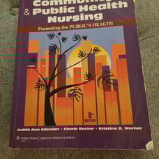Community and public health nursing