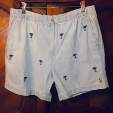 Polo Ralph Lauren for men