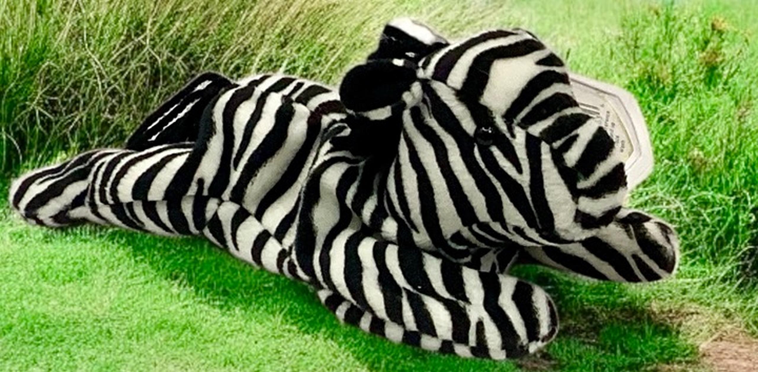 Ziggy the Zebra TY Beanie Baby