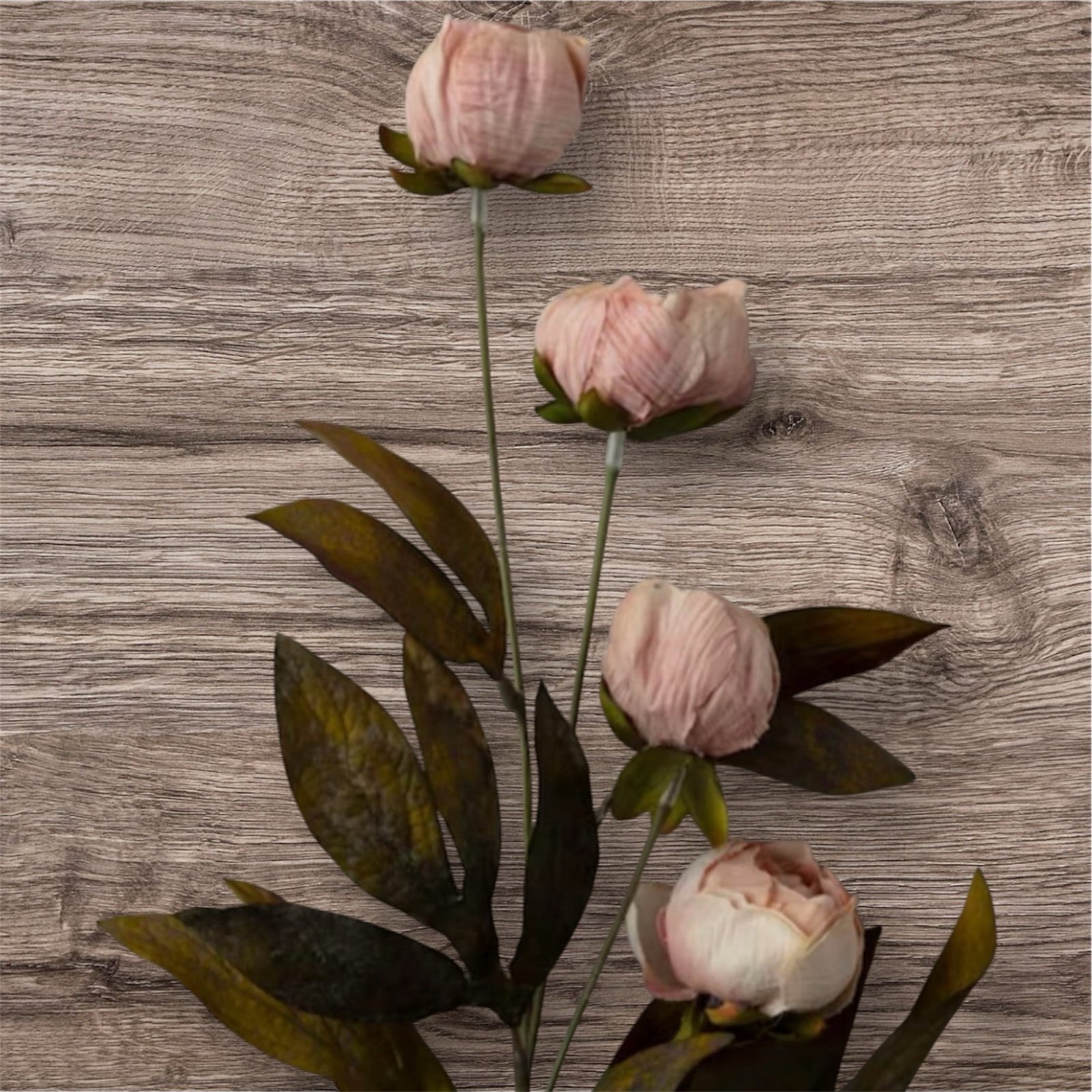 Tan Peony Stem by Ashland Set of 6