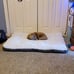 Washable Dog Bed for Large Dogs Dog Crate Mat 36 Inch Comfy Fluffy Kennel Pad