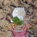 Bath & Body Works Light Up Mason Jar cocktail wallflower plug NWT VHTF