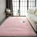 Fluffy Pink Rug for Bedroom Living Room, 4x6 Feet Rectangle Large Rug NEW
