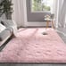 Fluffy Pink Rug for Bedroom Living Room, 4x6 Feet Rectangle Large Rug NEW