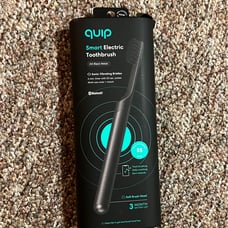 Quip Electric Toothbursh Metal