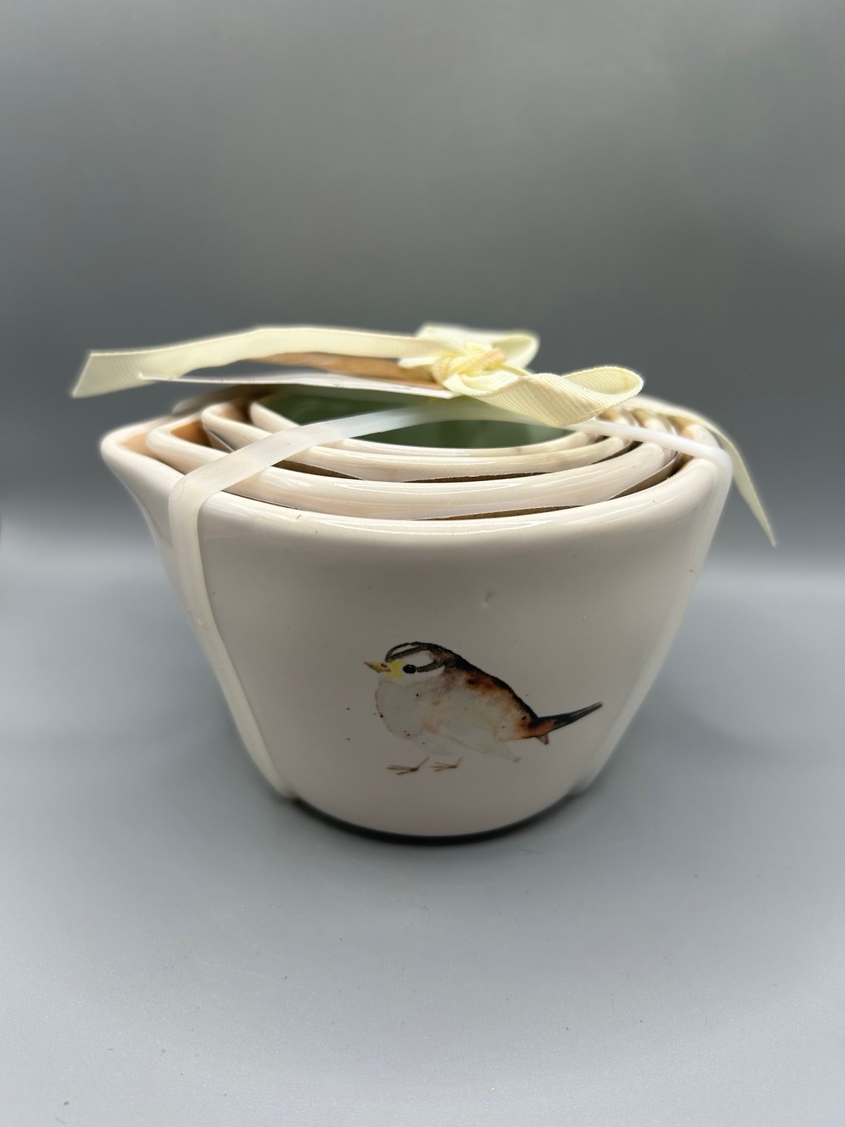 Rae Dunn Bird Measuring Cups Finch Wren Hummingbird Watercolor HTF NEW