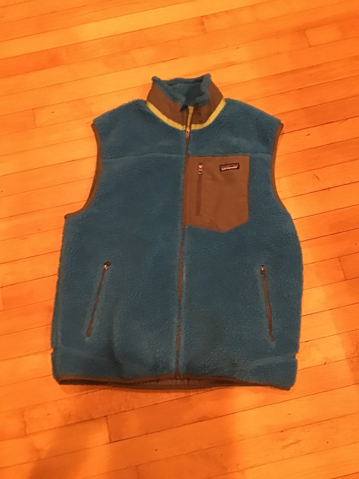 Patagonia Mens vest