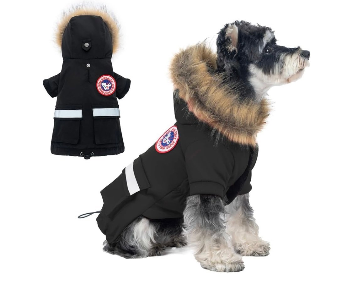 PINA Small Dog Coats