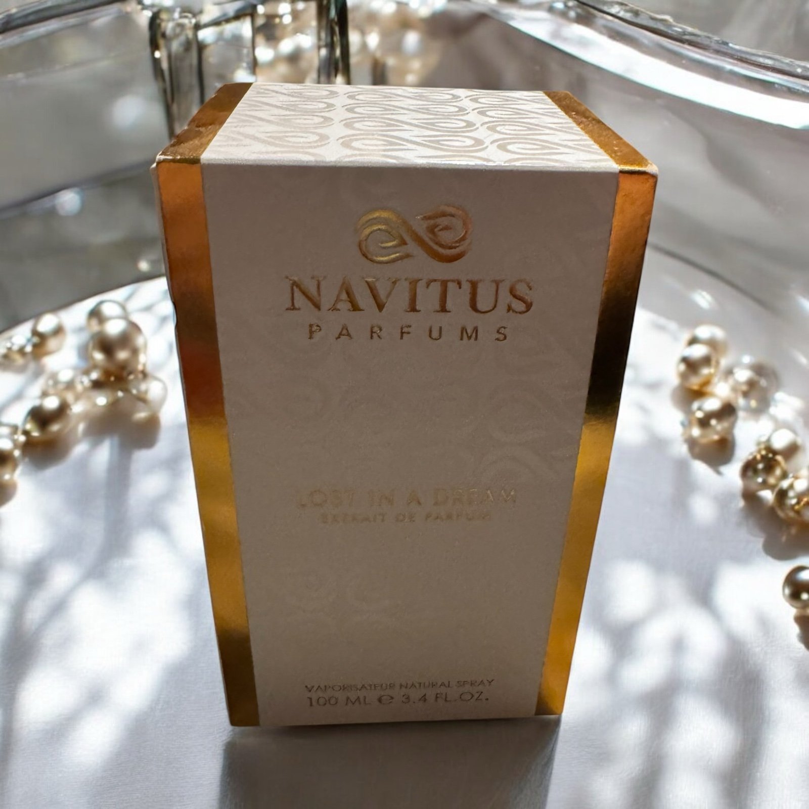 Navitus Lost In A Dream
