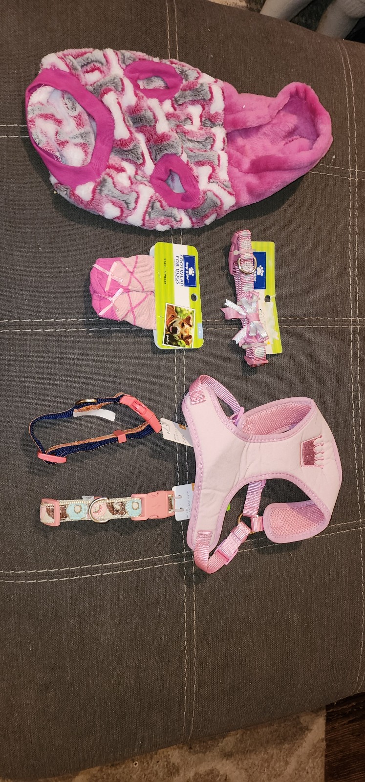 Small Dog items