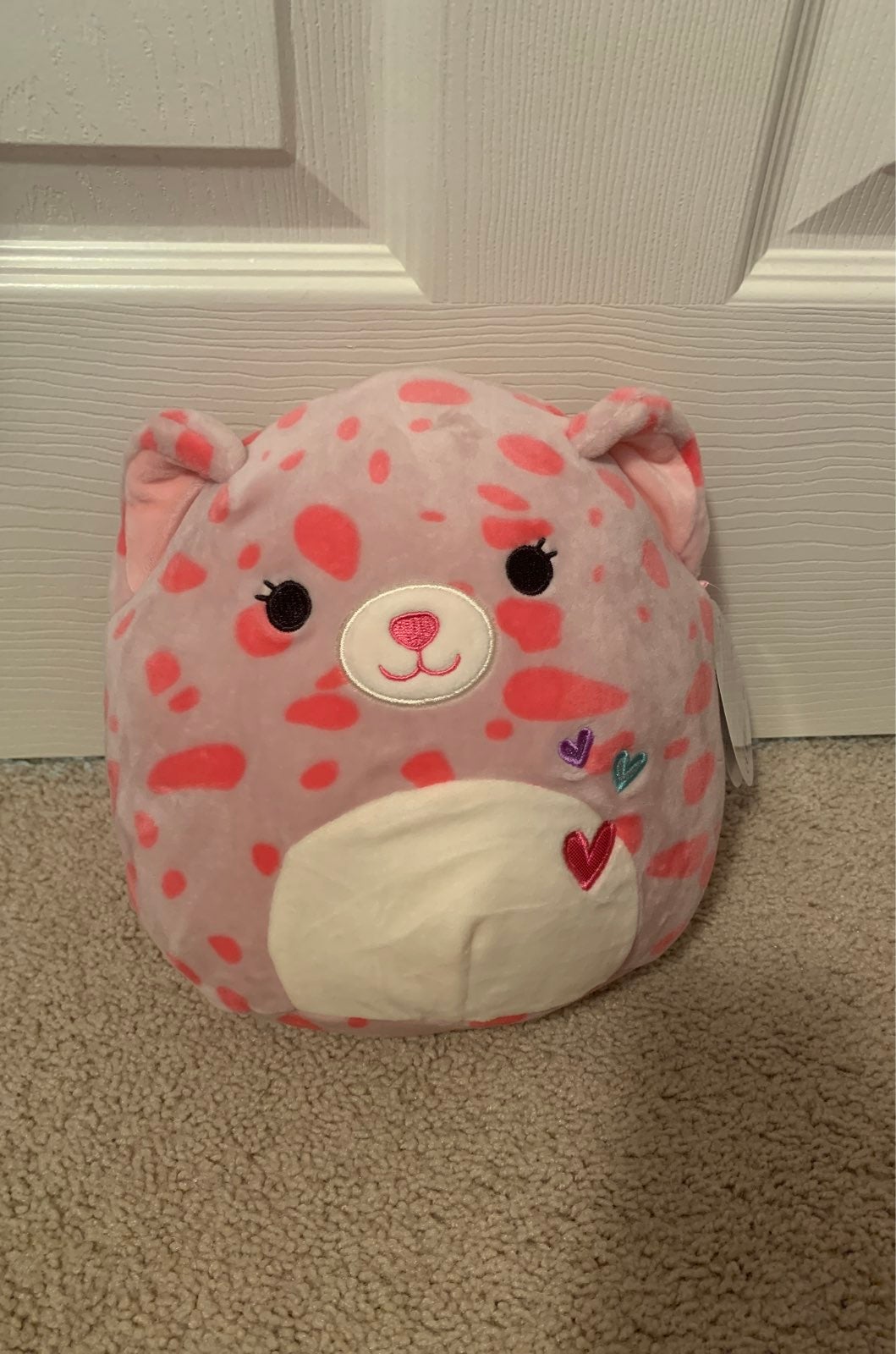 Rare Squishmallow lorie