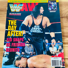 WWF Magazine June 1995 Kevin Nash Big Daddy Cool Diesel With Poster & Cutout
