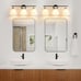 WOSHITU 3-Light Black and Gold Bathroom Vanity Light with Frosted Glass