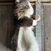 Folkmanis Realistic Cat Stage Puppet - Retired. Like New