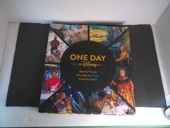 One Day at Disney Book