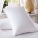 Hotel Collection Goose down soft support Pillow