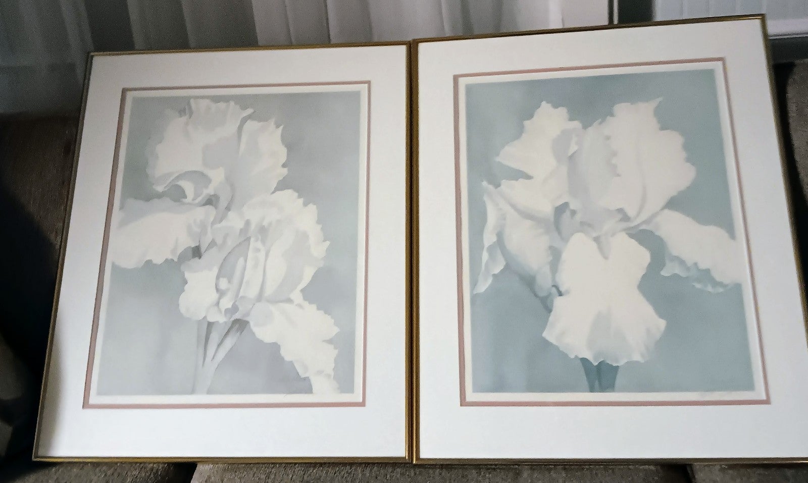 Two framed prints (flowers) in two metal gold frames.