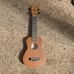 Beginner Ukulele