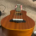 Beginner Ukulele
