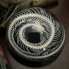 Snake Skeleton in Resin Dome, Oddities decor, coiled snake