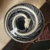 Snake Skeleton in Resin Dome, Oddities decor, coiled snake