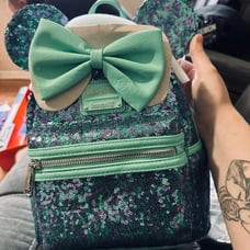 loungeflybackpack Disney