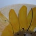 Vintage 70s Vera Neumann Sunflower 2 Salad Bowls Hand Painted 6.5 JAMAICA MADE