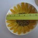 Vintage 70s Vera Neumann Sunflower 2 Salad Bowls Hand Painted 6.5 JAMAICA MADE