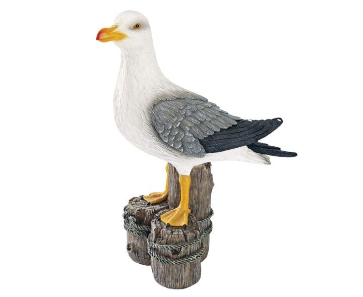 17 Dockside Seagull Coastal Bird Duck