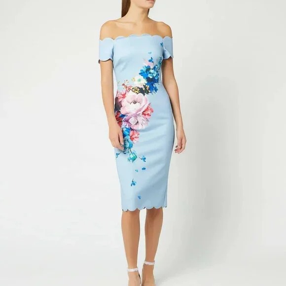 NWT Ted Baker London Hailly Raspberry Ripple Bardot Dress Size 3(US 8)